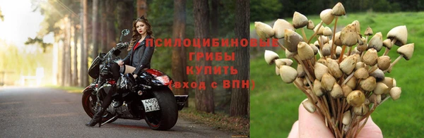 героин Алексеевка