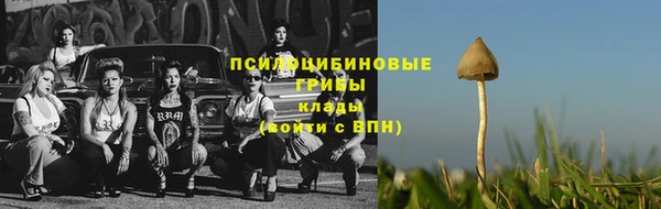 ПСИЛОЦИБИНОВЫЕ ГРИБЫ Алексин