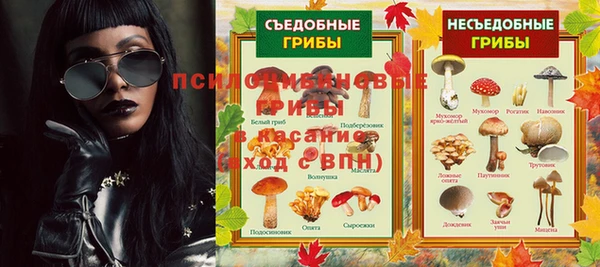 ПСИЛОЦИБИНОВЫЕ ГРИБЫ Алексин
