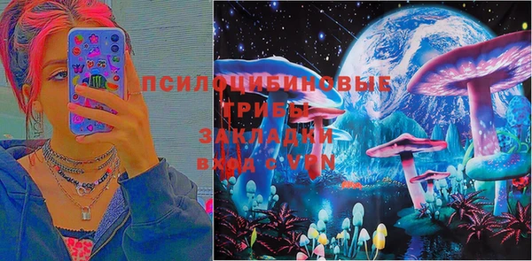 гашик Алзамай