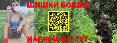 хмурый Гатчина