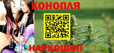 хмурый Гатчина