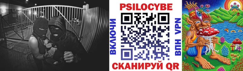 Псилоцибиновые грибы Cubensis  Нововоронеж 