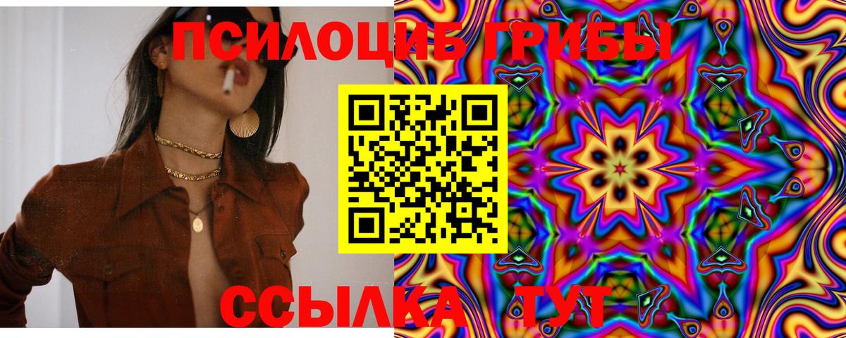 Псилоцибиновые грибы Psilocybine cubensis  Вход с VPN  Нововоронеж 
