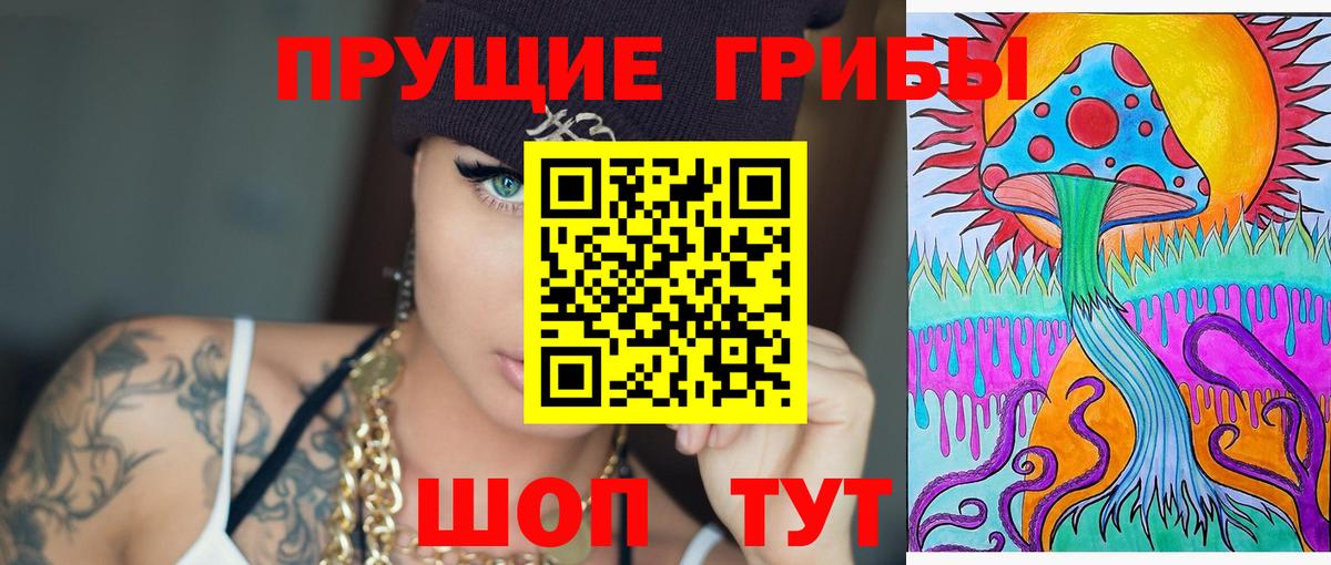 Псилоцибиновые грибы Psilocybine cubensis Нововоронеж